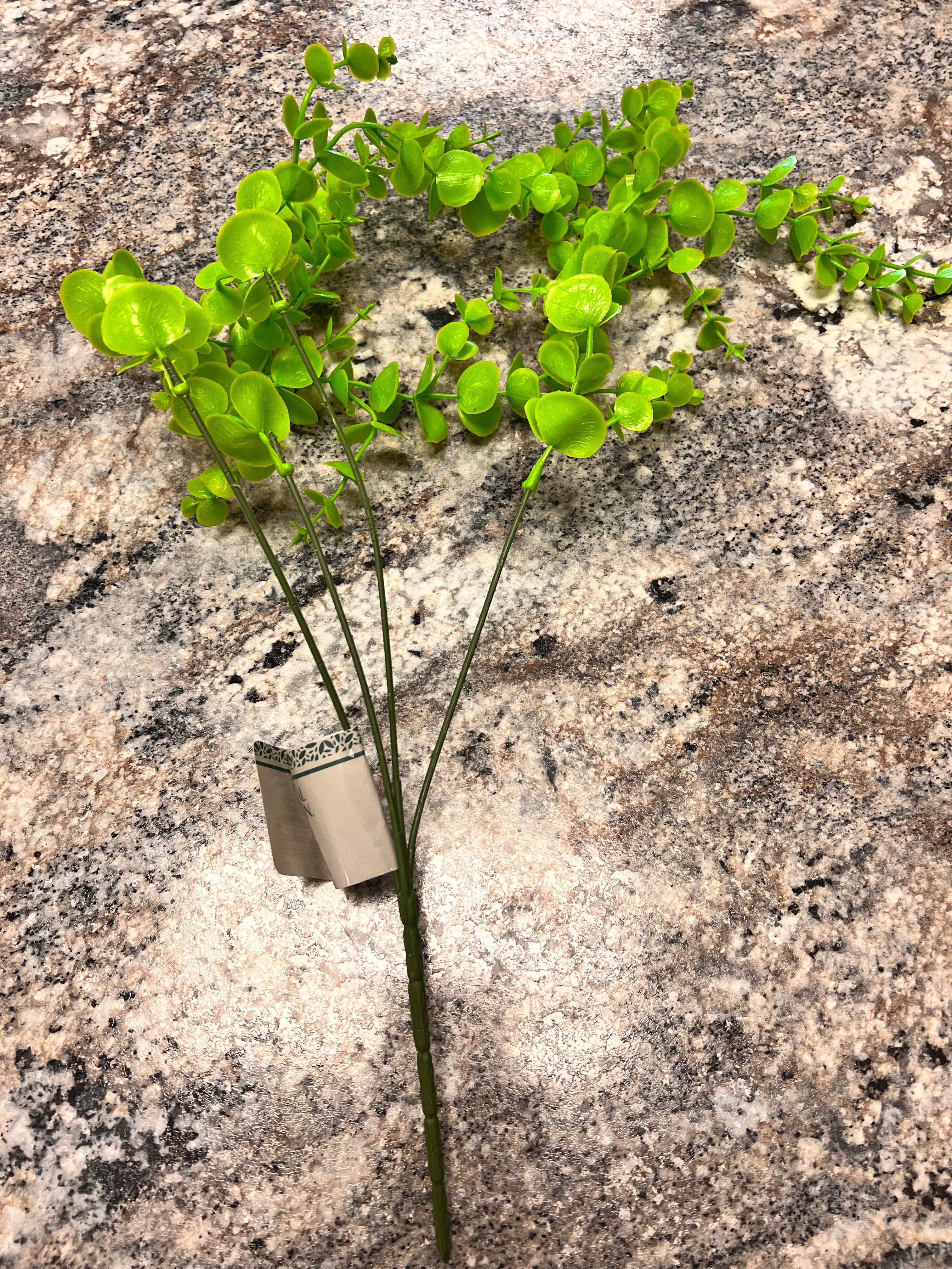 Plant Decor