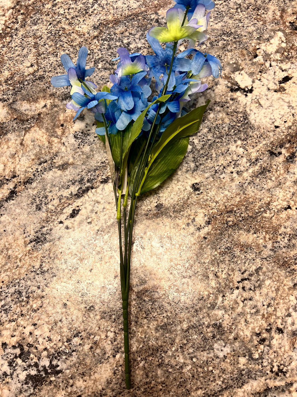 Plant Decor
