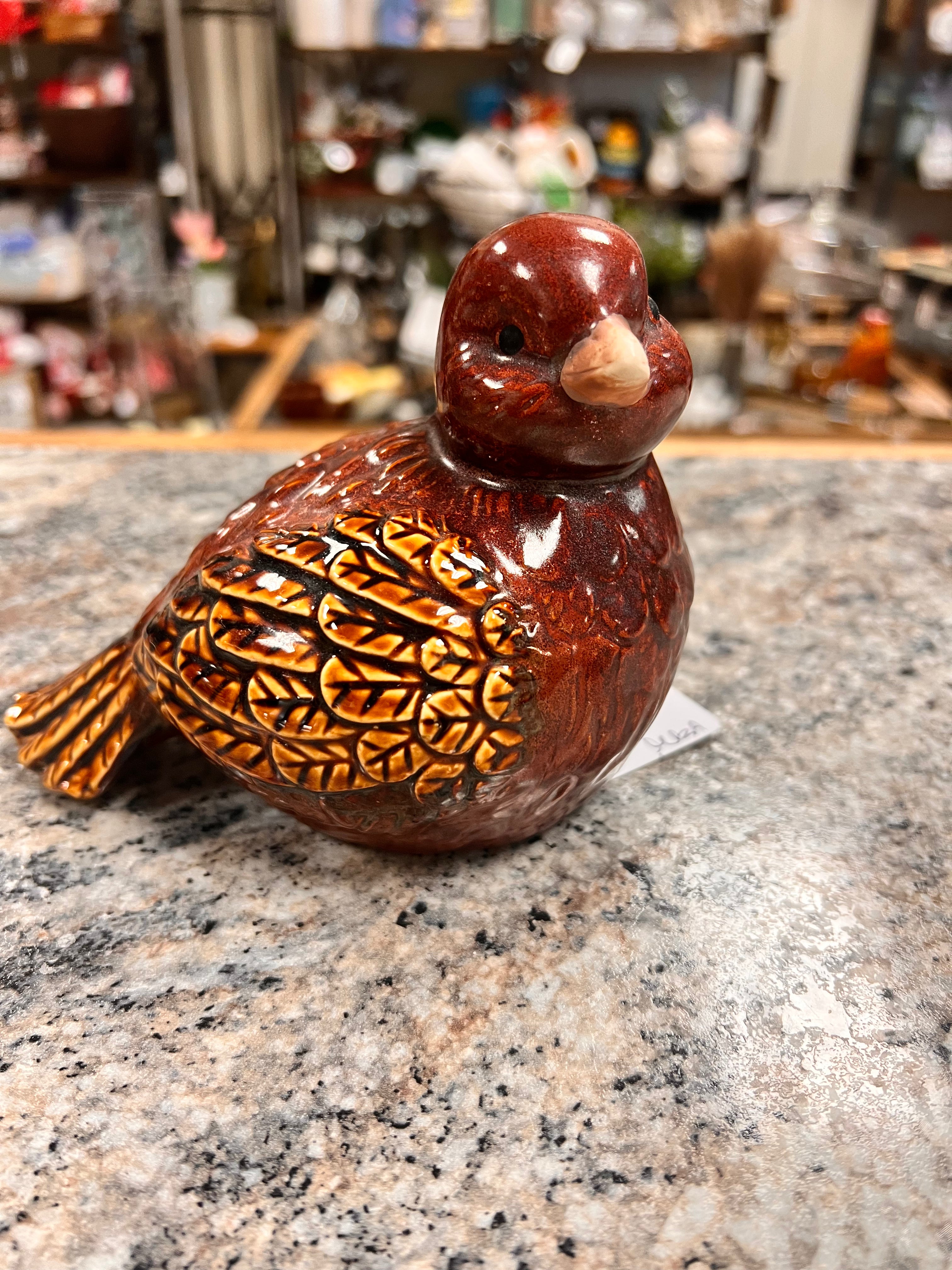 Brown Bird