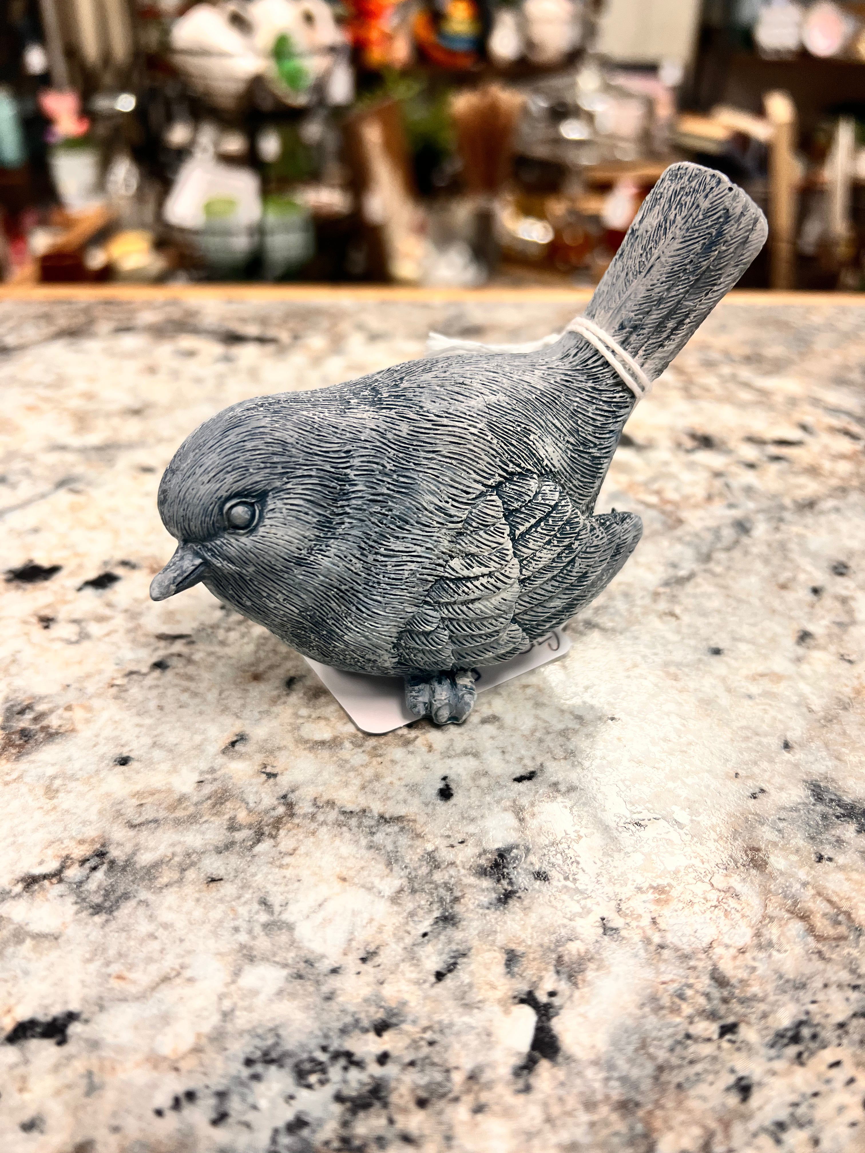 Gray Bird