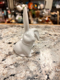 Mini Bunny