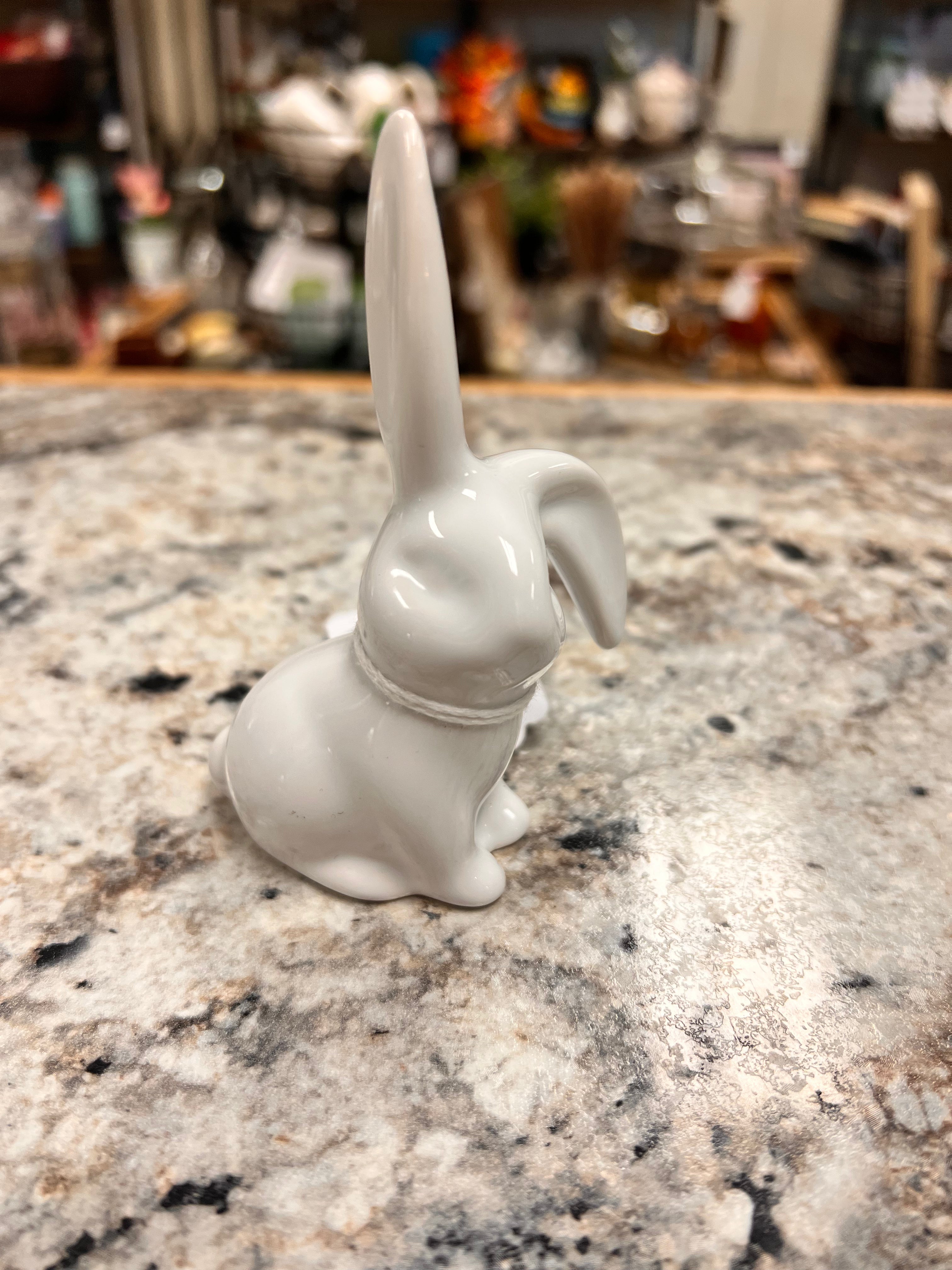 Mini Bunny