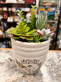 Plant Decor