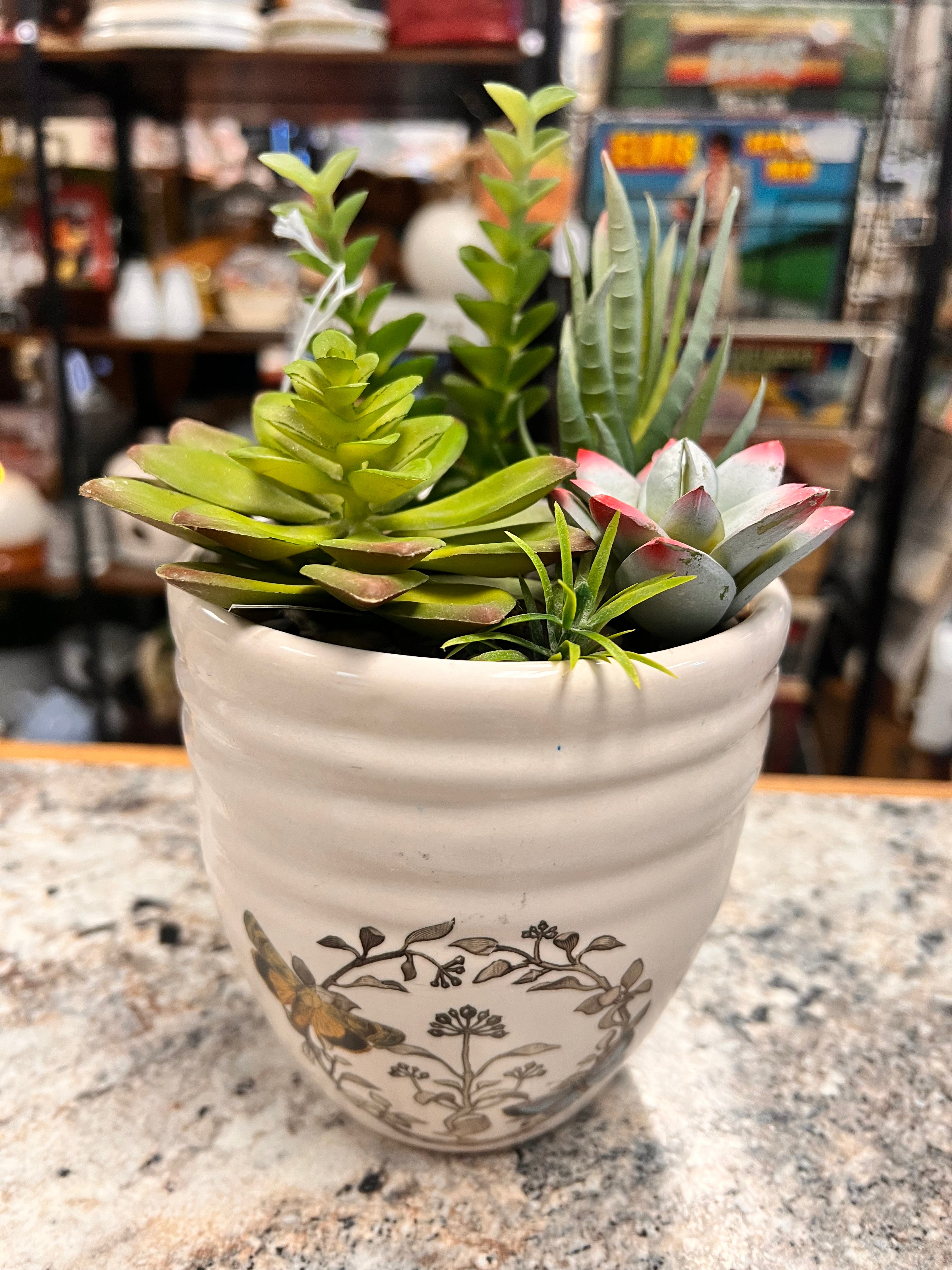 Plant Decor