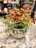 Small Plant