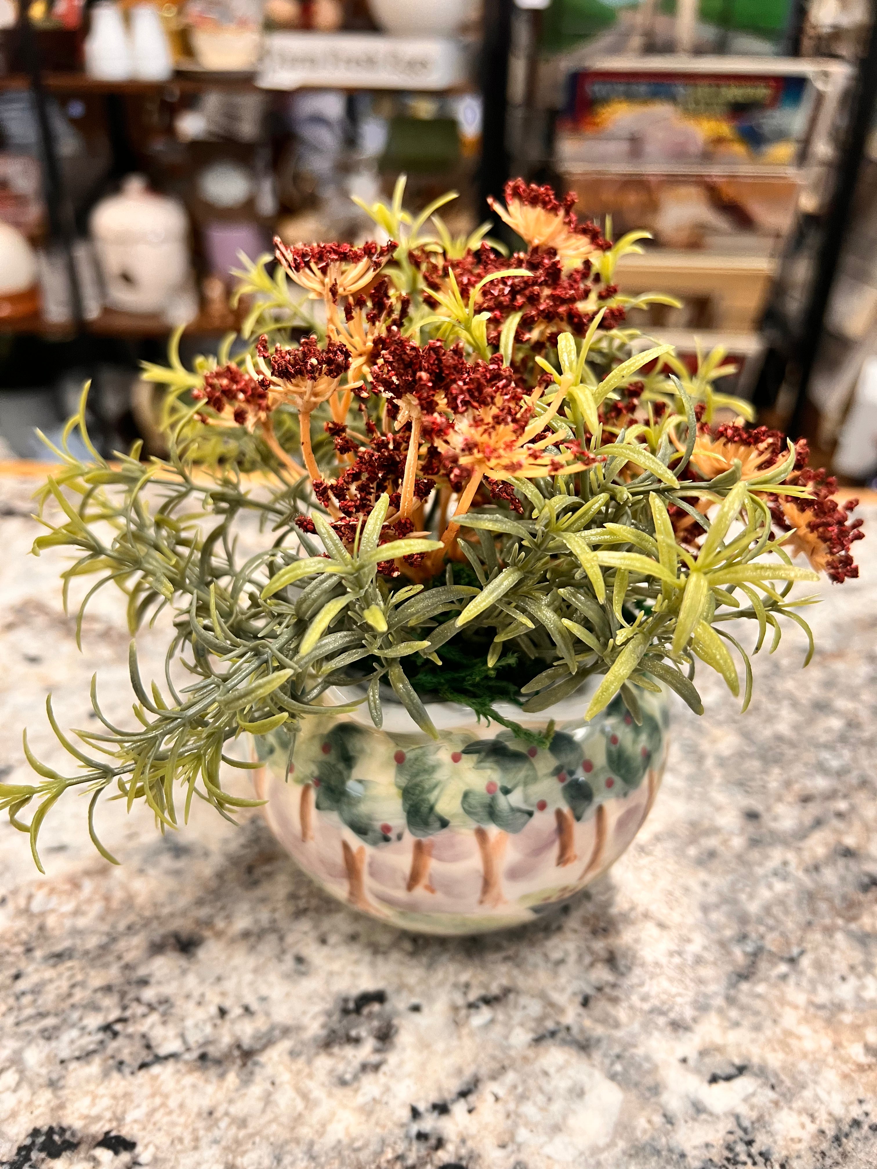 Small Plant