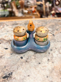 Mini Salt Shaker Set