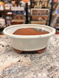 Bonsai Pot