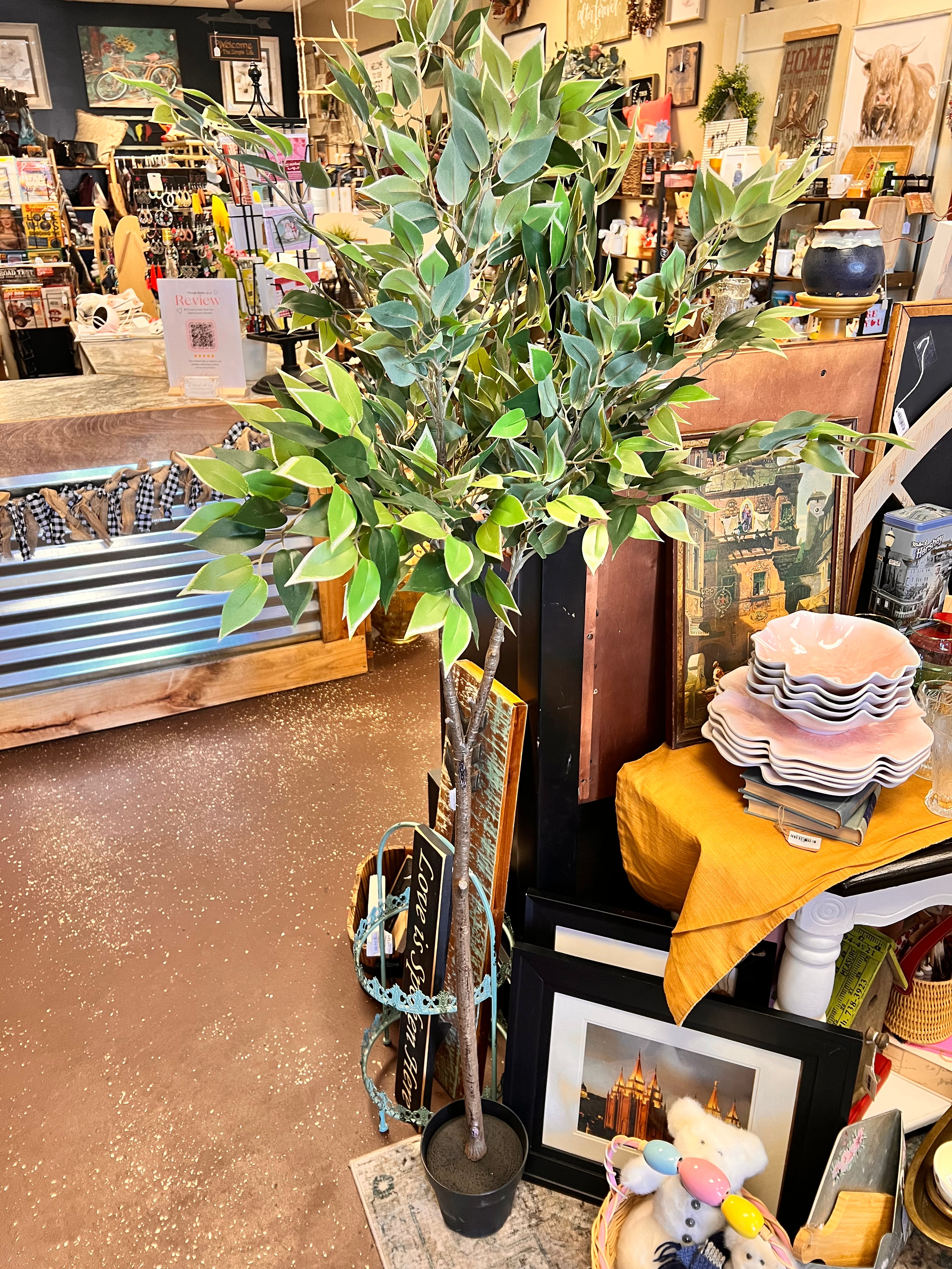 Tall Plant
