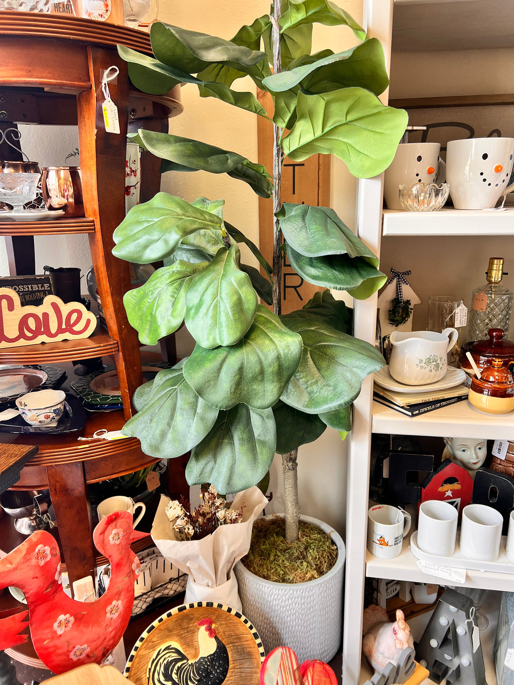 Large Plant