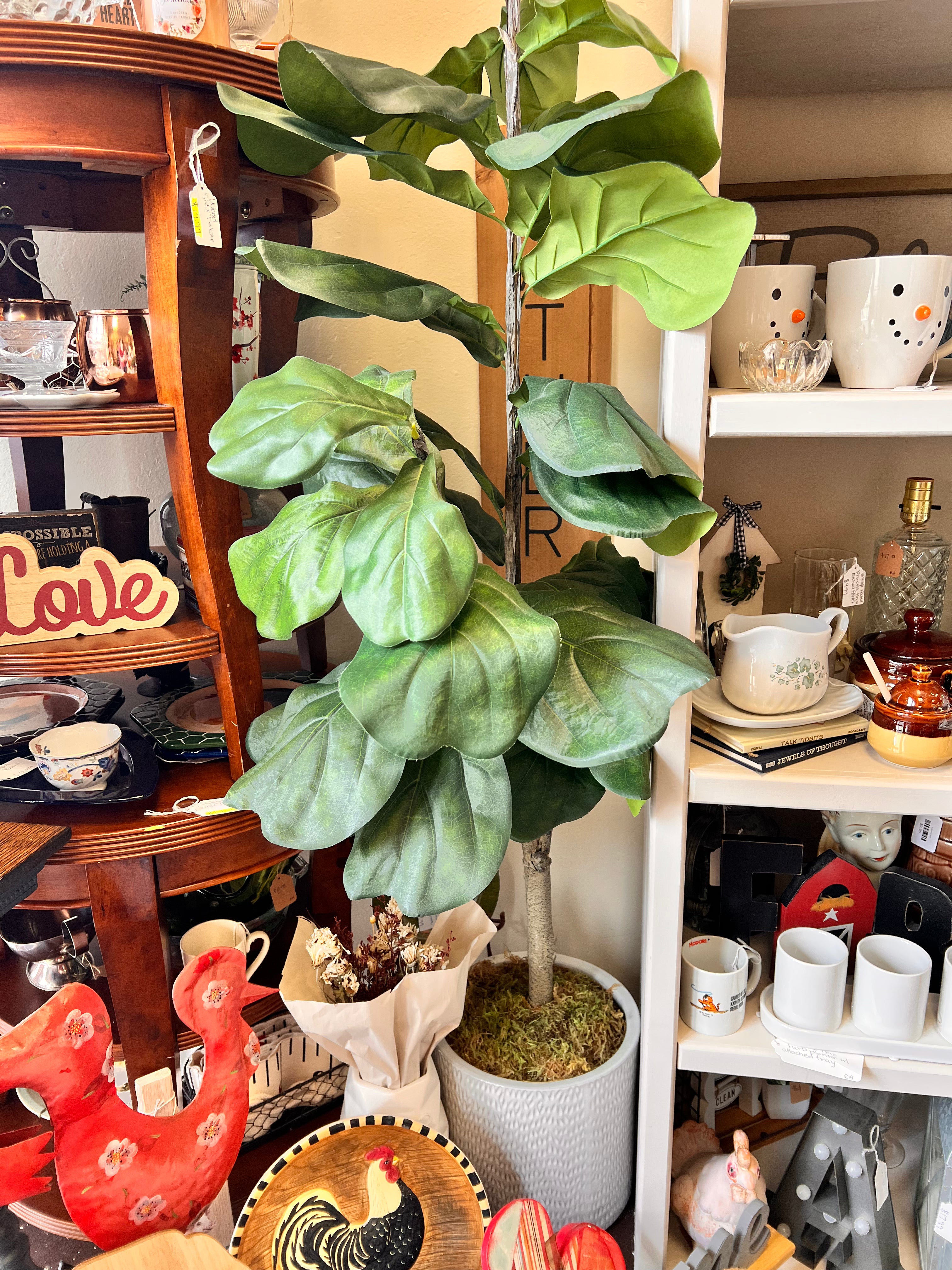 Large Plant