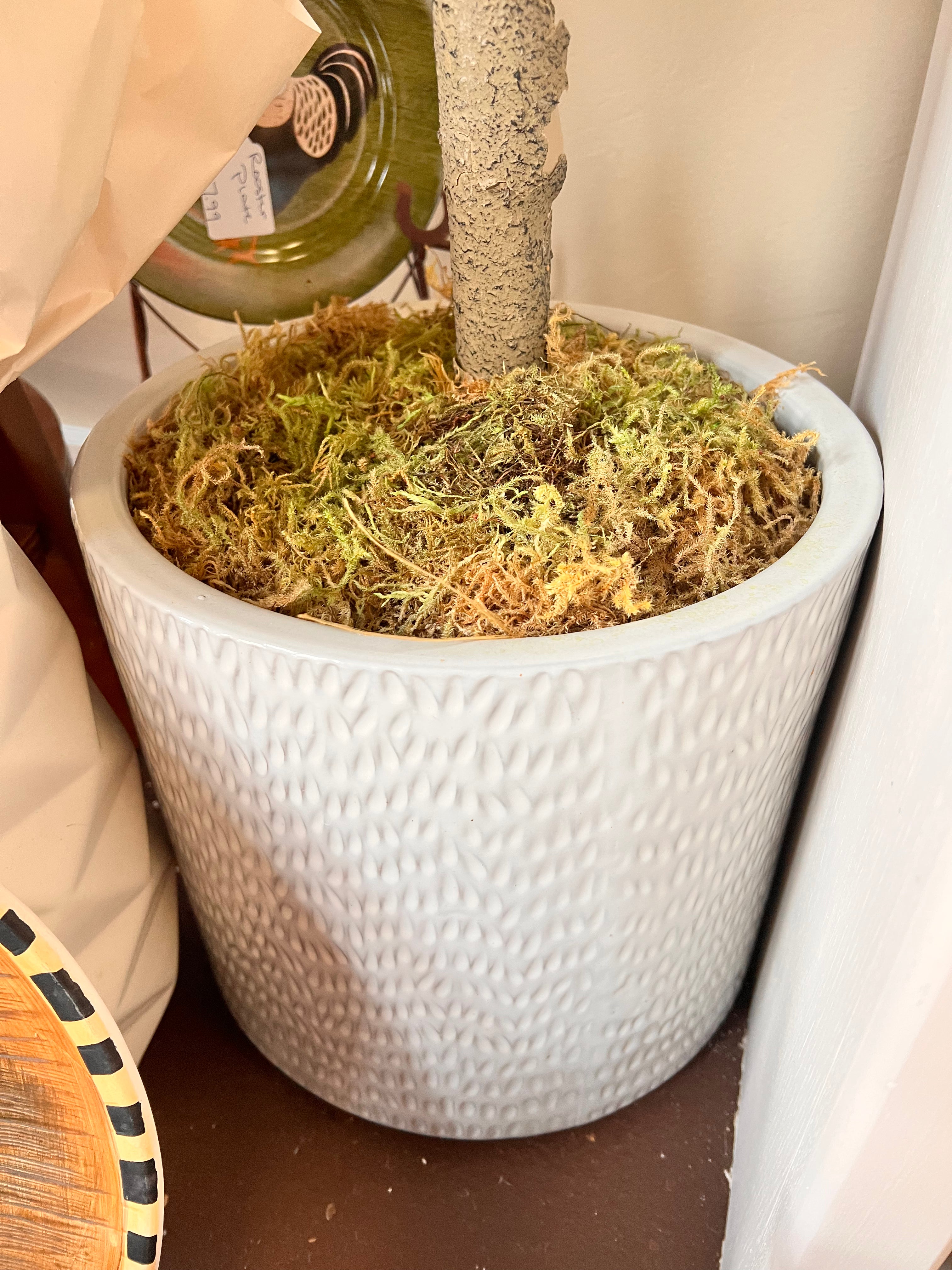 Large Plant