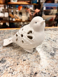 White Bird