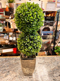 Round Plant Decor