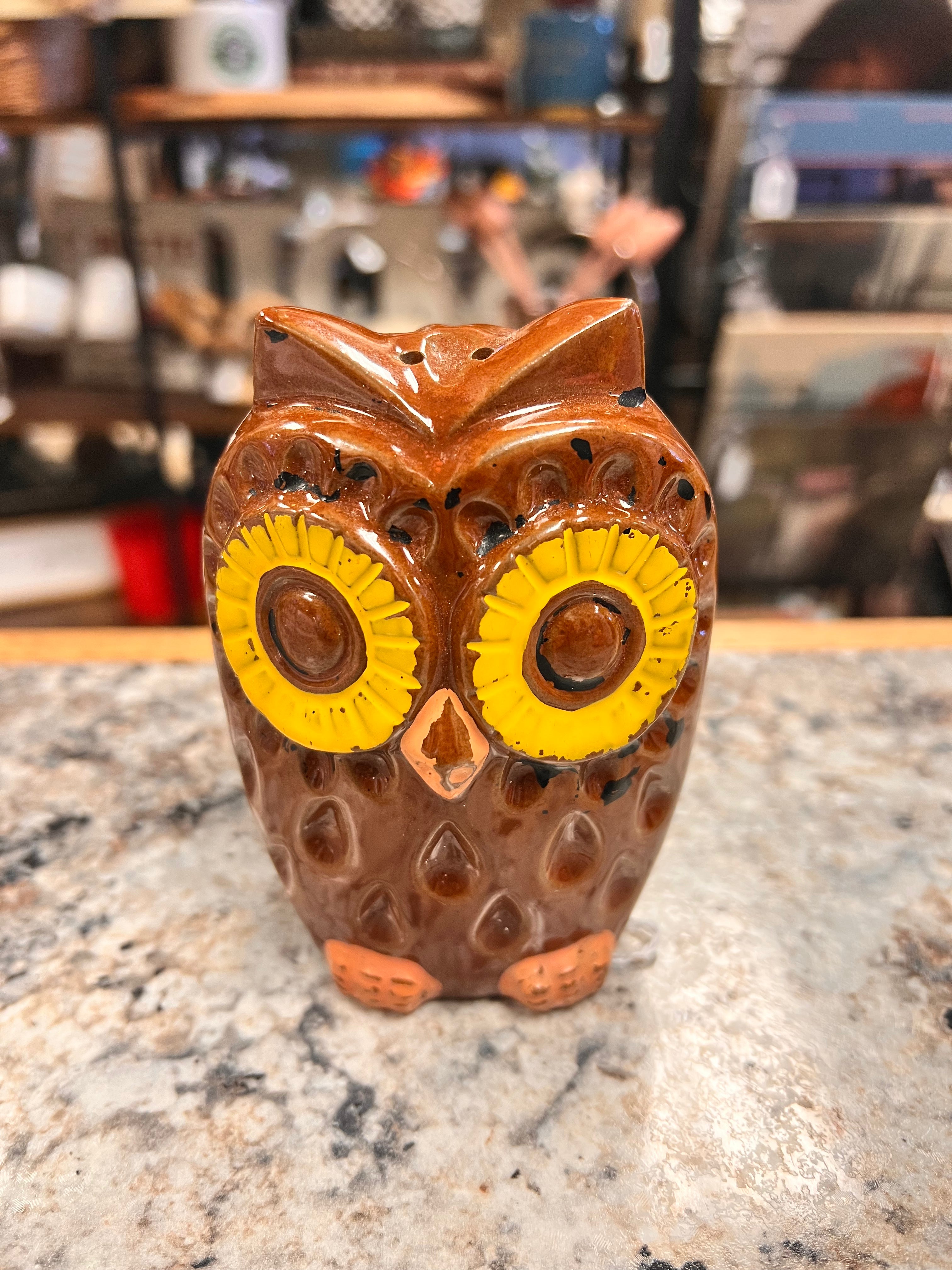 Owl Shaker