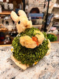 Bunny Plant
