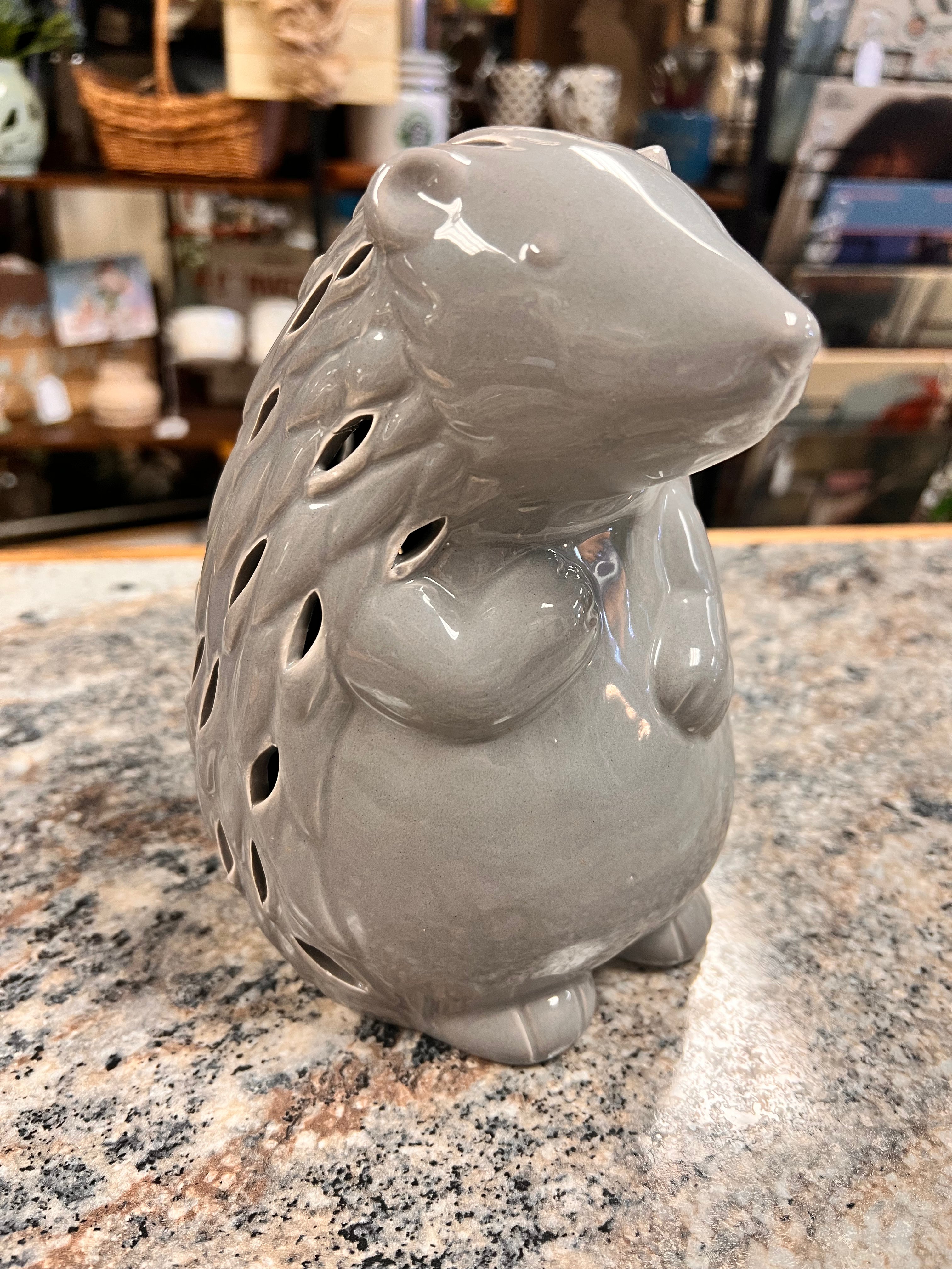 Hedgehog Light