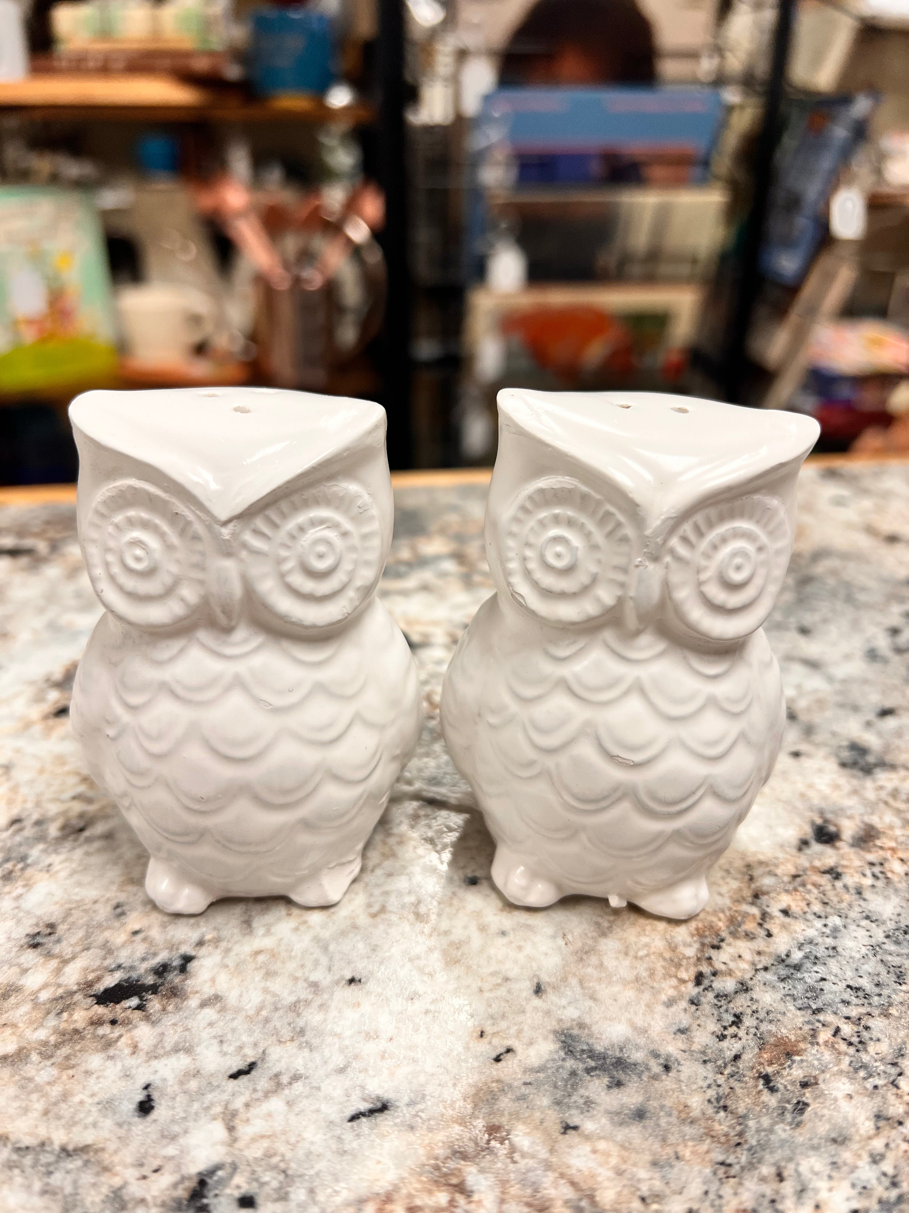 Owl Shaker Set