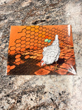 Chicken Print