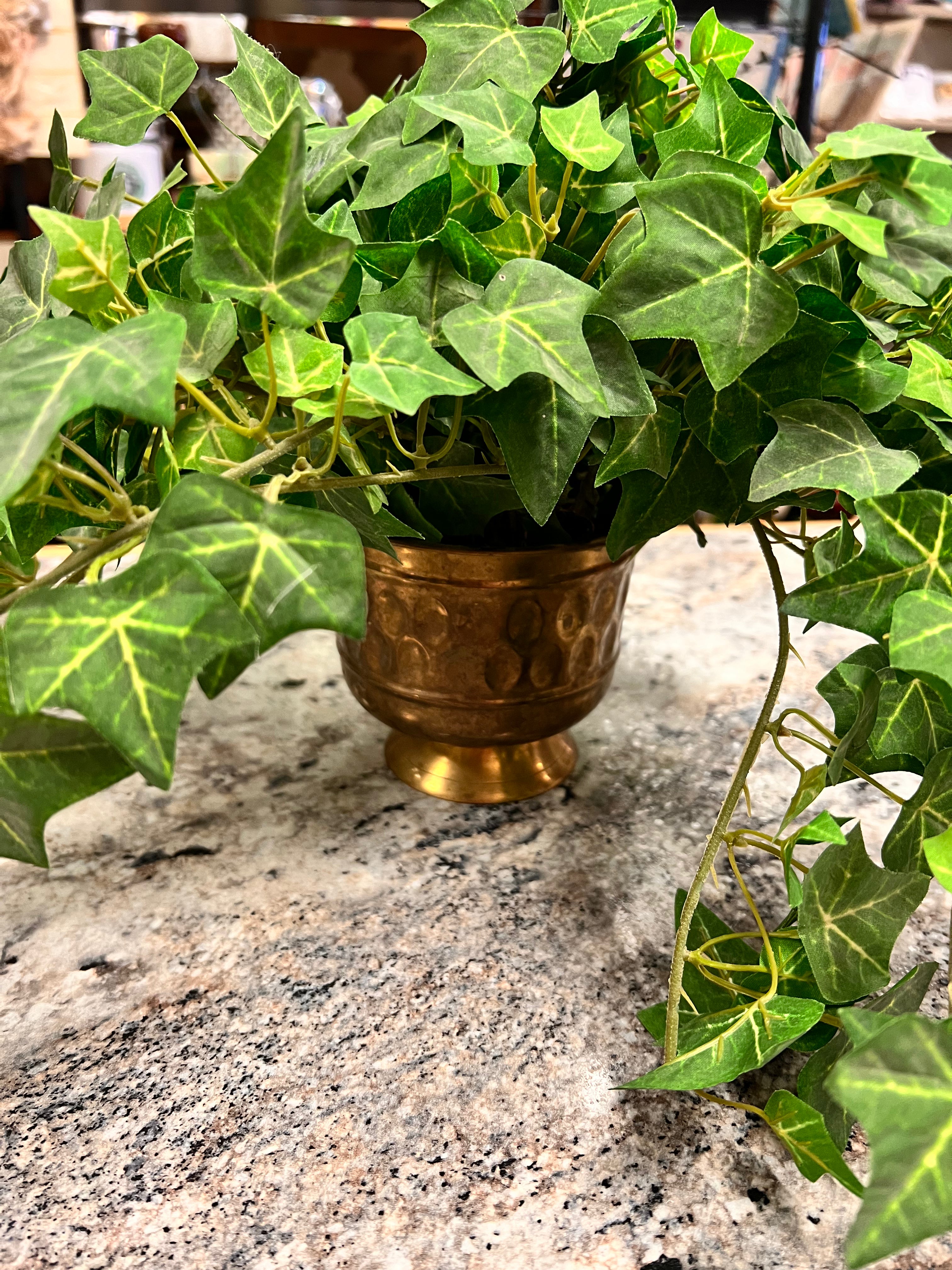 Brass Pot & Plant